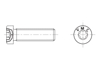 Cap screws with low head with hexalobular drive (6 lobes)